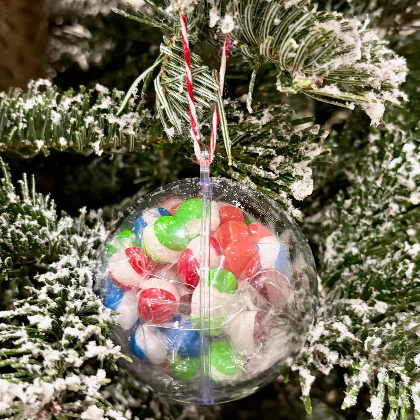 Freeze Dried Christmas Ornaments (4 Pack) Gift Set