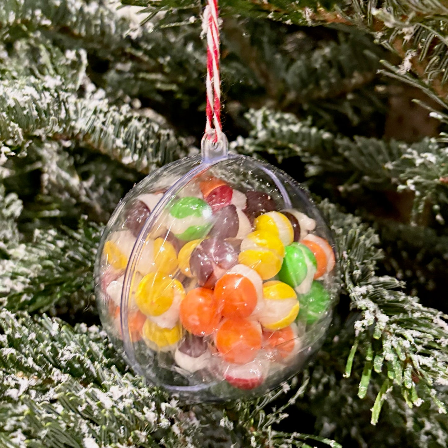 Freeze Dried Christmas Ornaments (4 Pack) Gift Set